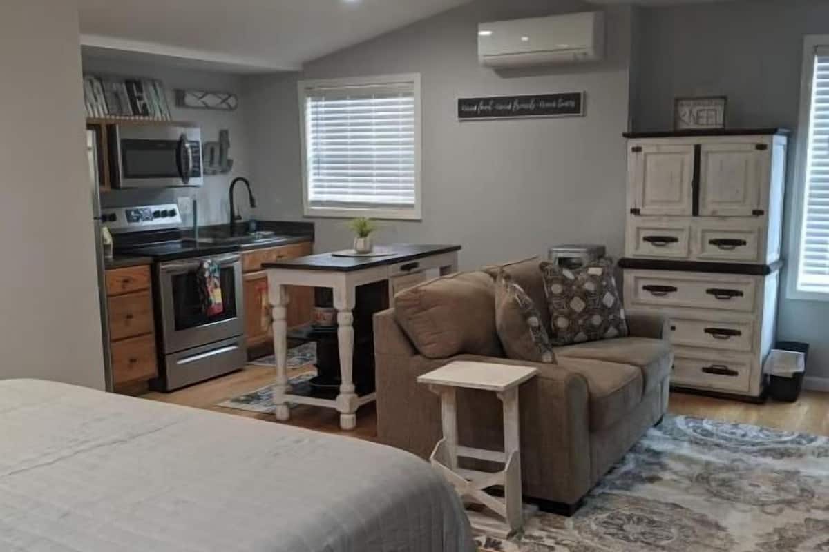 A bedroom with a bed, a ceiling fan, a kitchenette, a couch, and a rug.