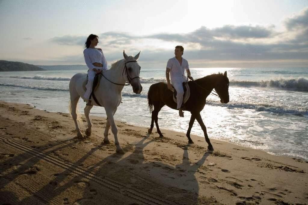 Deux personnes à cheval sur une plage, avec l’océan en arrière-plan.