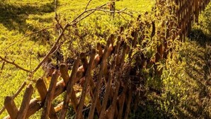 Una casa roja de dos pisos con un balcón, rodeada por una cerca de madera y un jardín cubierto de césped.
