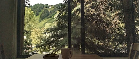 Top Floor Room | Mountain view