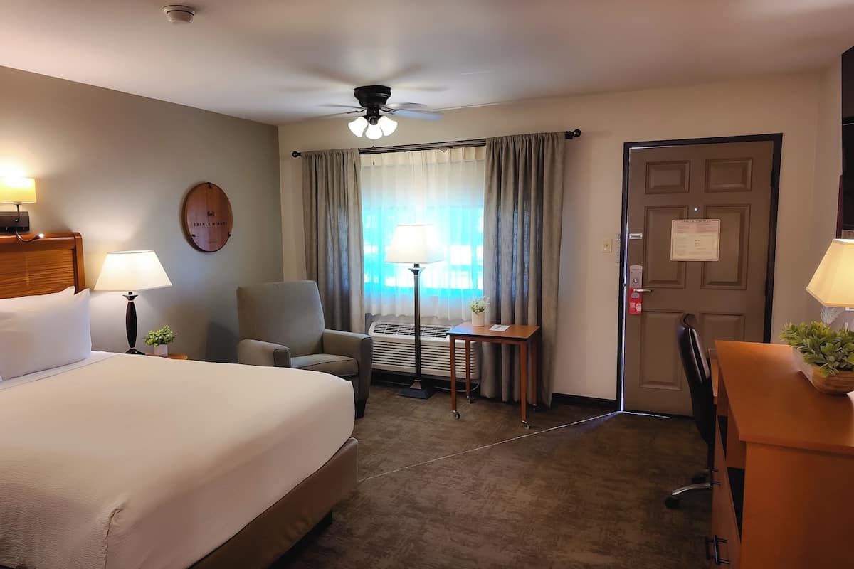 A hotel room with a bed, a desk, a chair, a ceiling fan, and a window with curtains.