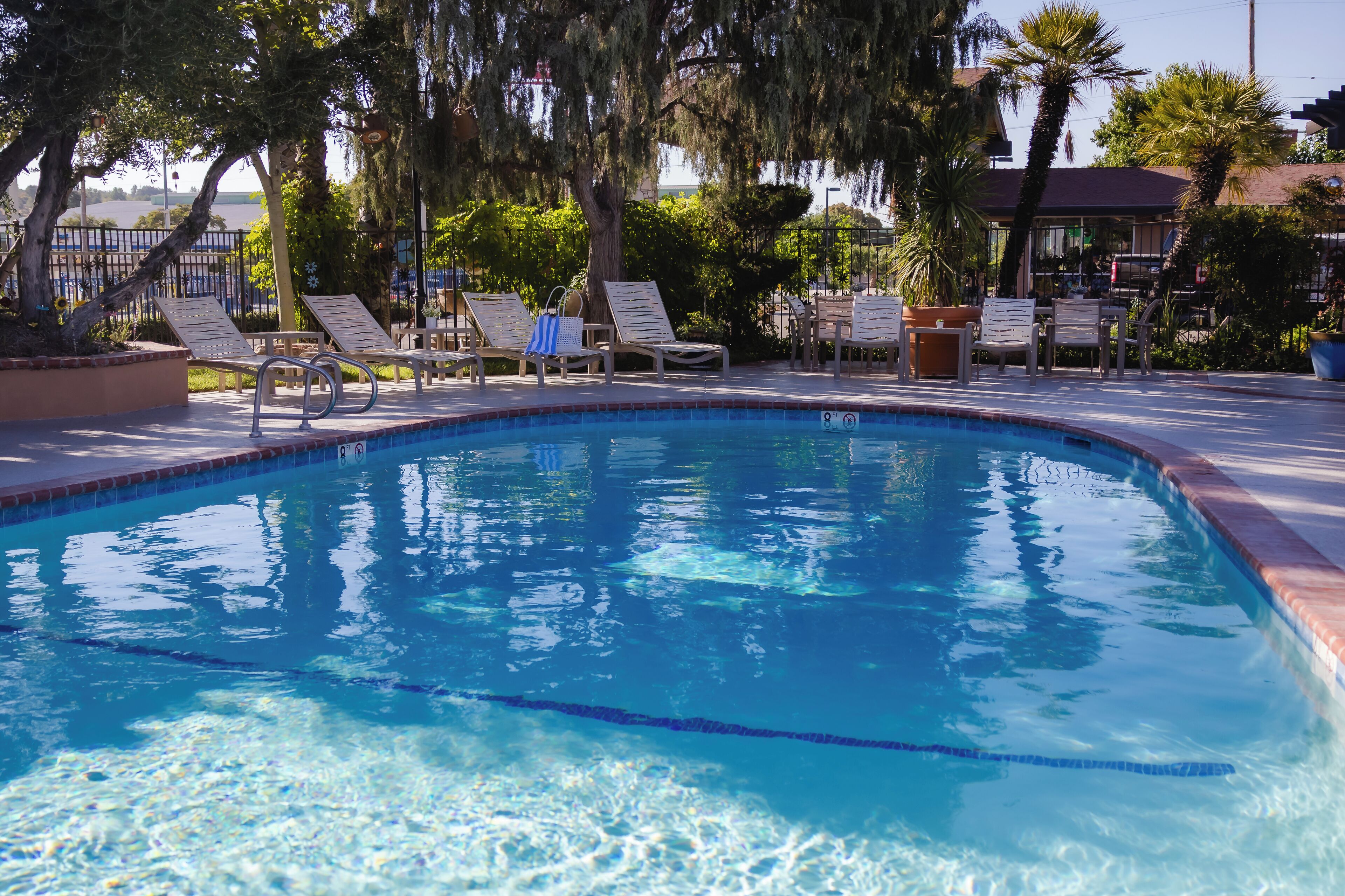 室外游泳池，池畔遮阳伞，日光浴躺椅