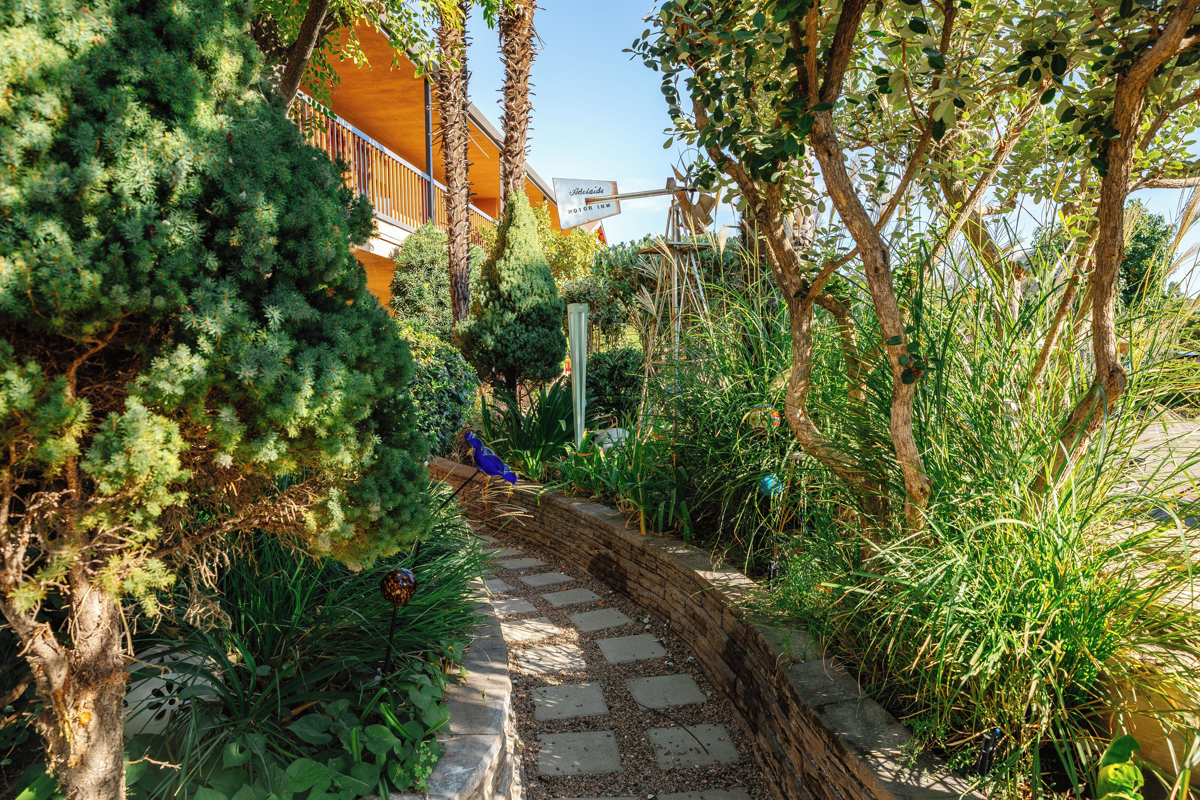 A pathway leading through a garden with various plants and trees.