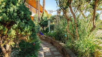 A pathway leading through a garden with various plants and trees.