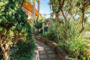 Un sendero atraviesa un jardín con diversas plantas y árboles.