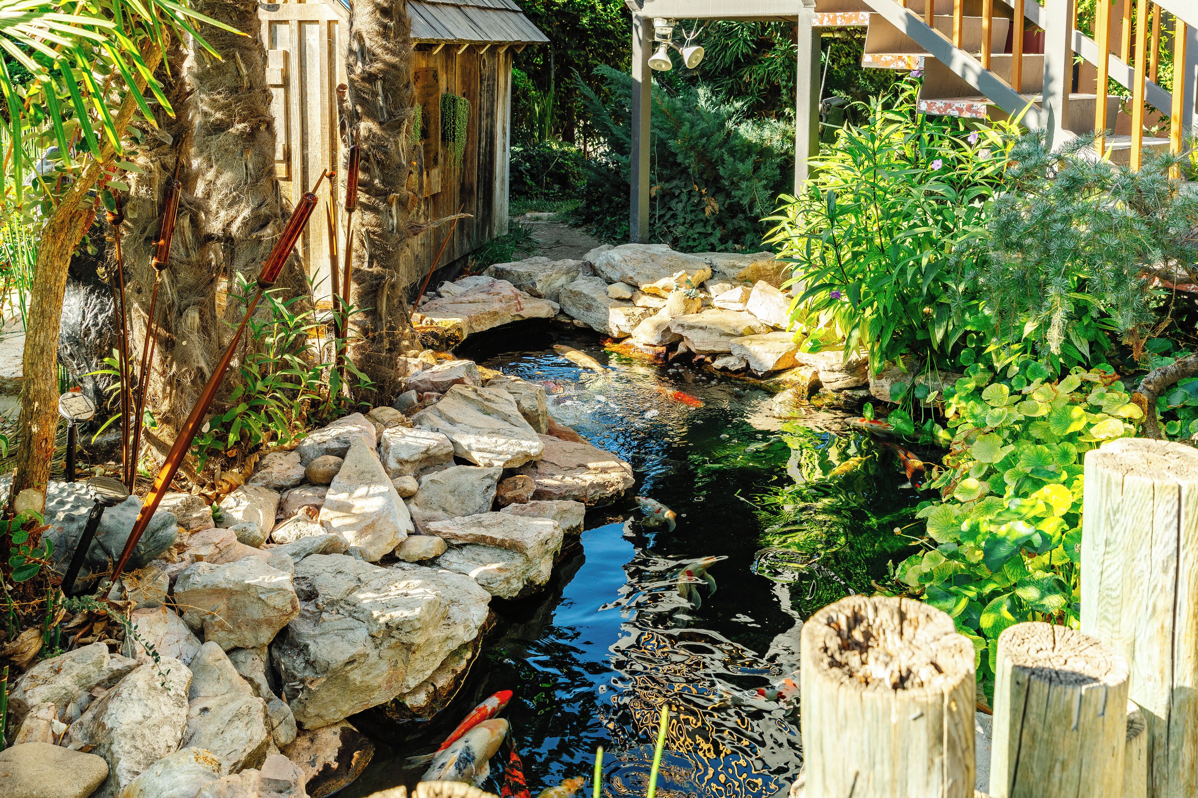 A koi pond with rocks and plants, surrounded by a wooden fence and a wooden structure.