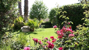 A garden with pink roses, green grass, and palm trees.