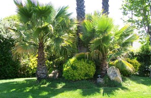 Garden - Adelaide Inn (Paso Robles)