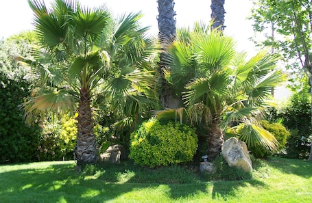 Garden. Adelaide Inn