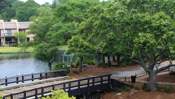 Danau