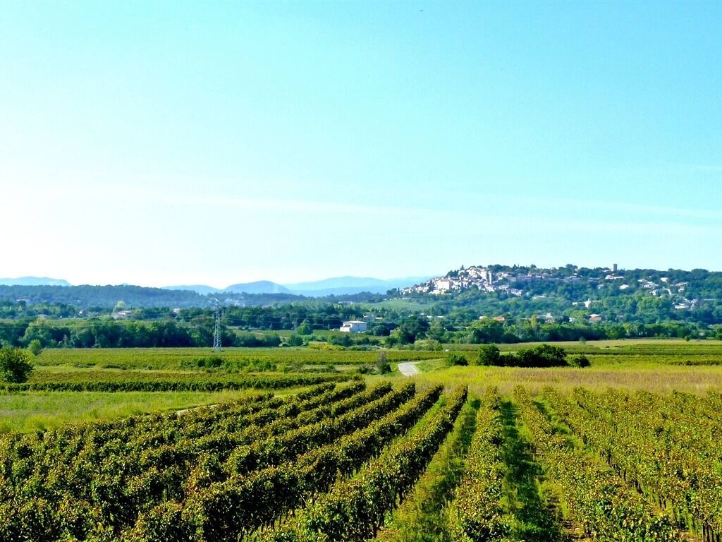 Un vignoble avec des rangées de vignes et une vue lointaine d’un village perché sur une colline.