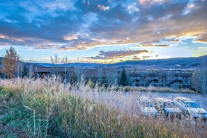 Condo, 2 chambres | Fer et planche Ă repasser