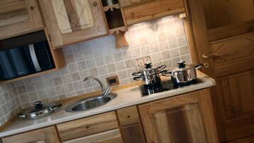 Grand réfrigérateur, micro-ondes, plaque de cuisson