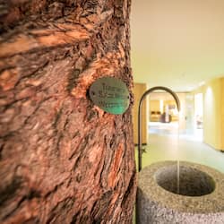 Sauna, hammam, soins corporels, massages aux pierres chaudes