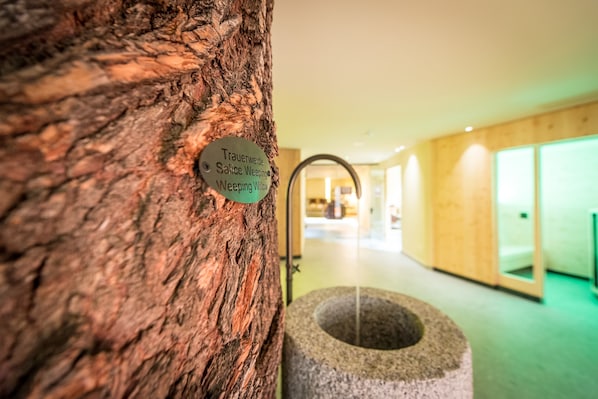 Sauna, steam room, body treatments, hot stone massages, sports massages