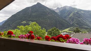 Family Room | View from room