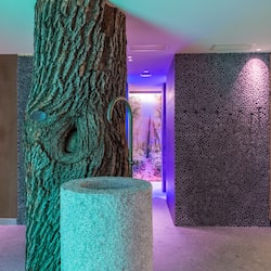 Sauna, bagno turco, trattamenti per il corpo