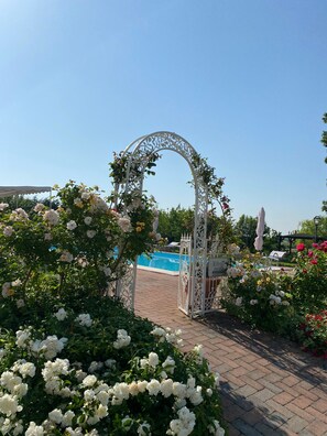 Seasonal outdoor pool, pool umbrellas, sun loungers