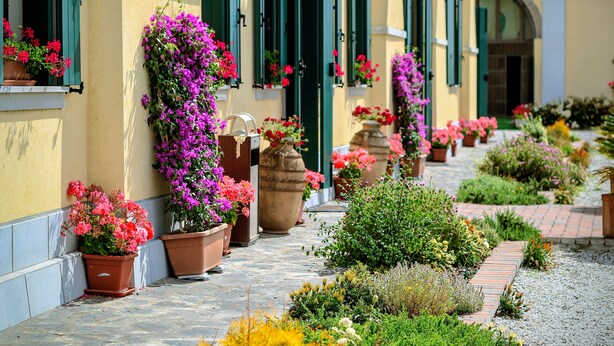 A building with a row of potted plants and flowers along the exterior wall. - Agriturismo Millefiori Corte delle Rose (Rovigo)