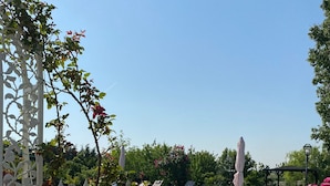 A pool area with lounge chairs, a pergola with climbing plants, and a sign indicating 'Millefi Corte delle Rose Piscina Laghetti'. - Agriturismo Millefiori Corte delle Rose (Rovigo)
