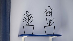 Room amenity - Why Not Bed & Breakfast (Naples)