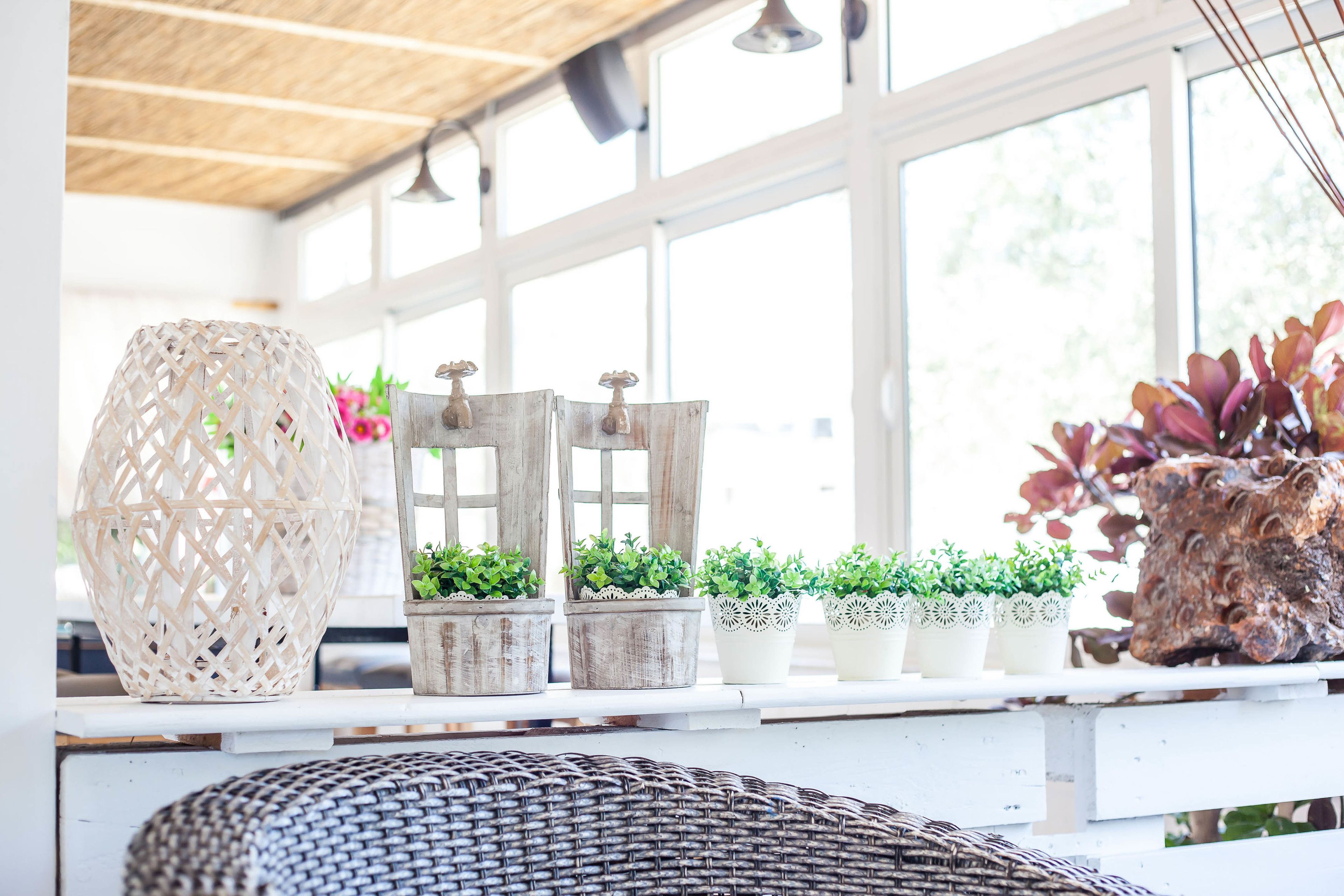 Foto - Tinas Plus Hotel