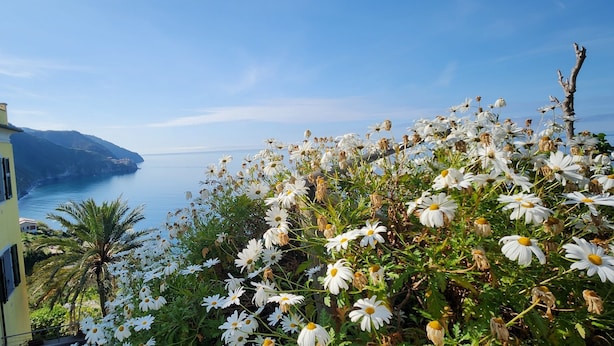 Un edificio sul lungomare con vista sul mare e un giardino con fiori bianchi.