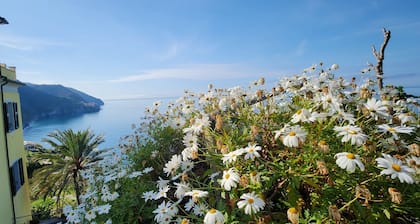 Hanging Garden with Air Conditioning