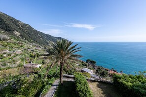 Paisaje costero con una palmera, un edificio pequeño y vista al mar.