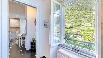 Deluxe Apartment, Kitchen, Sea View | 1 bedroom, individually decorated, individually furnished, desk