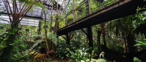 Majoituspaikan mukavuudet