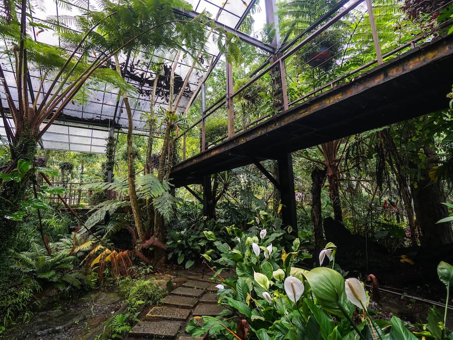 Servicio de la propiedad