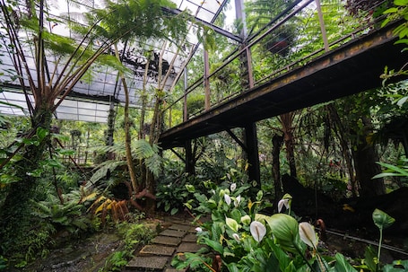 住宿服务设施. 枫桦台一度假村