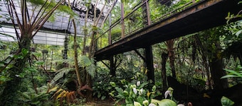 Tai Yi Red Maple Resort