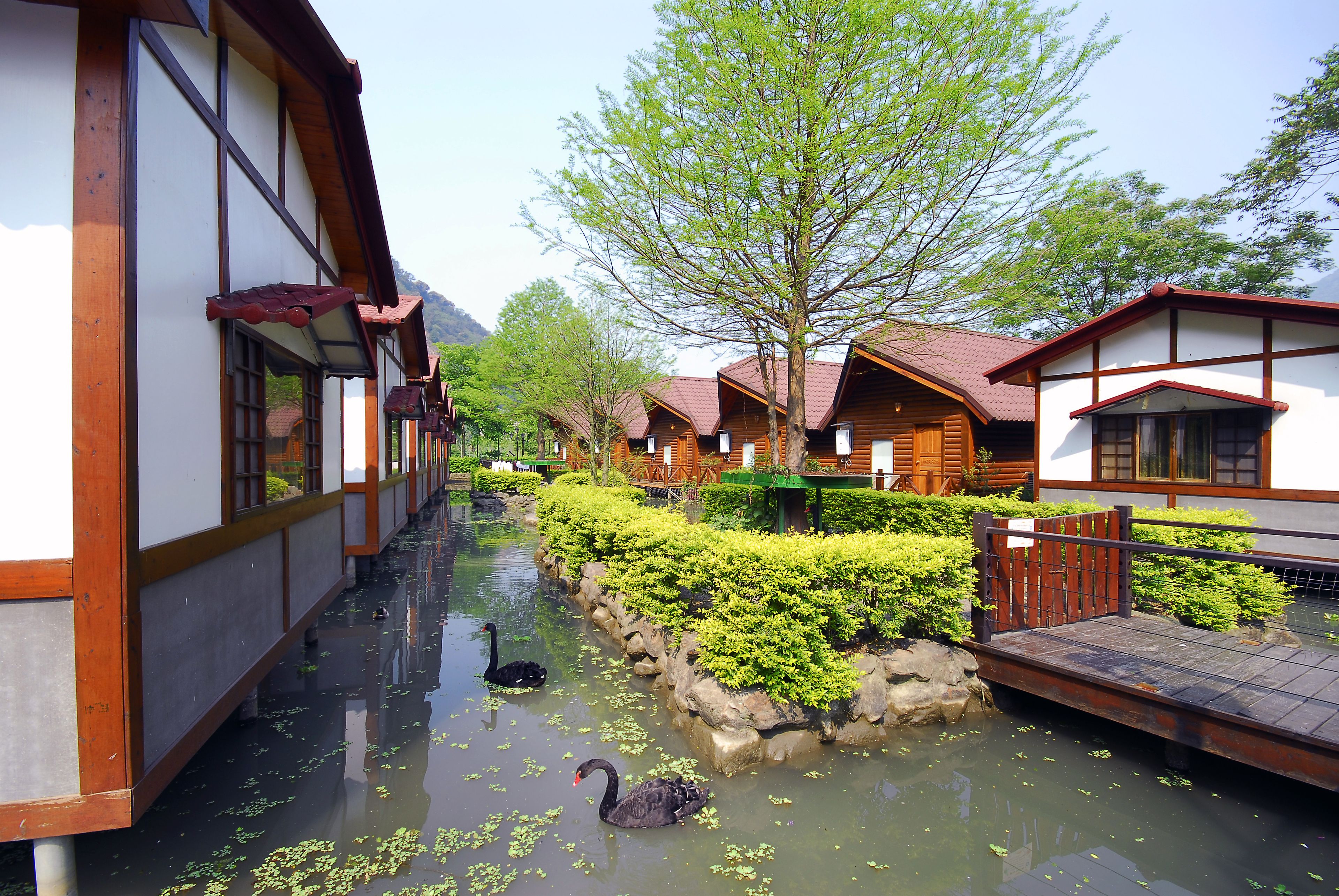 住宿景觀