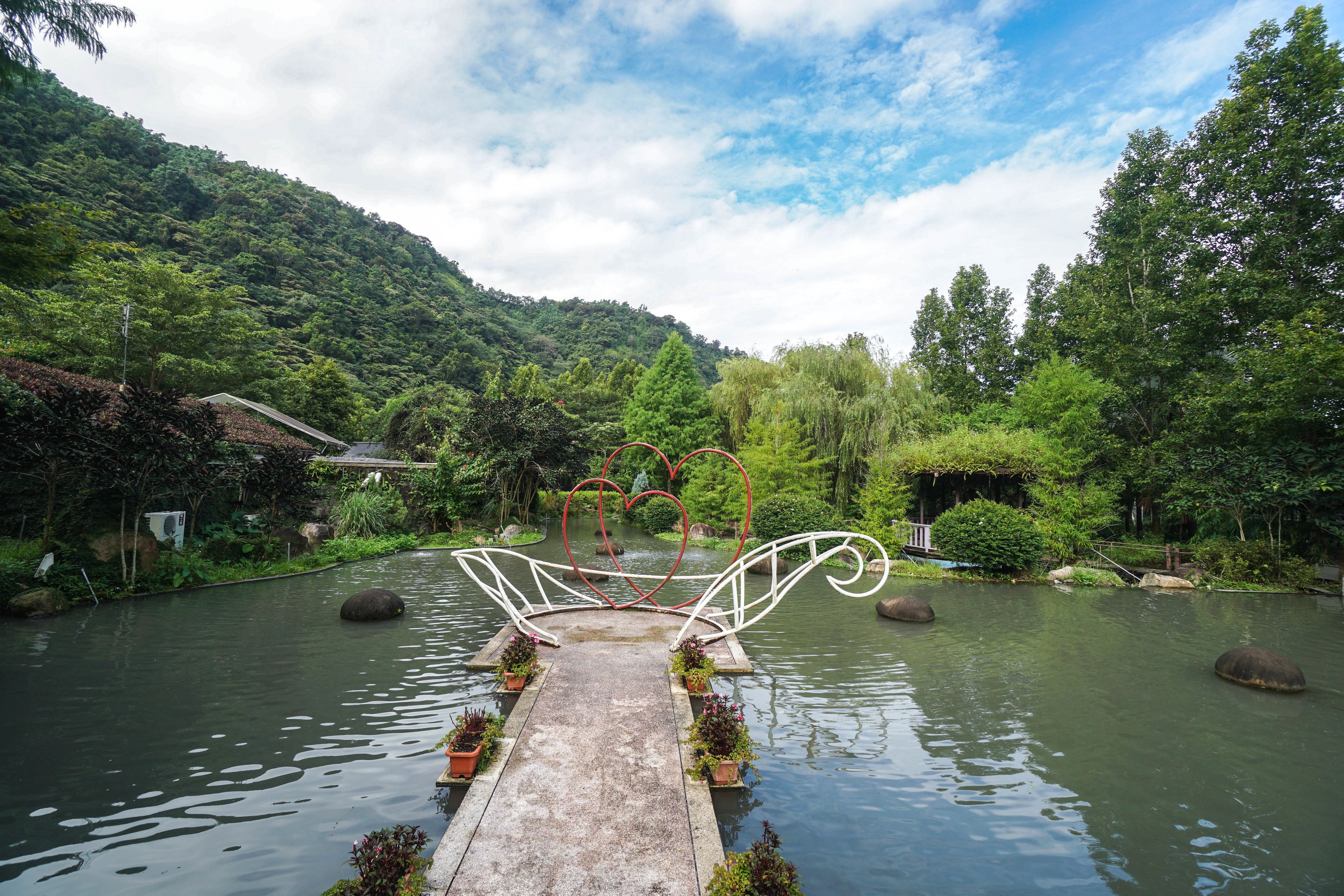A wooden bridge over a calm river, surrounded by lush greenery and trees.