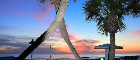 A sunset view with palm trees, a beach, and a chair area.