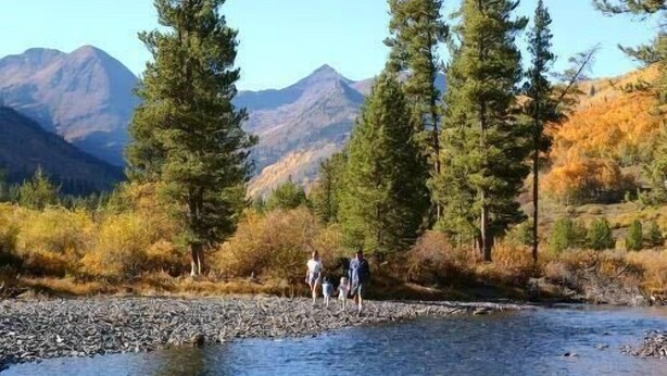Un río con orilla rocosa y altos árboles al fondo.