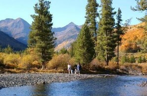 Un río con orilla rocosa y altos árboles al fondo.