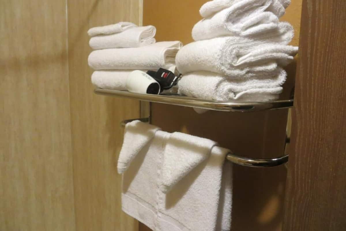 combined shower/bathtub, hair dryer, towels