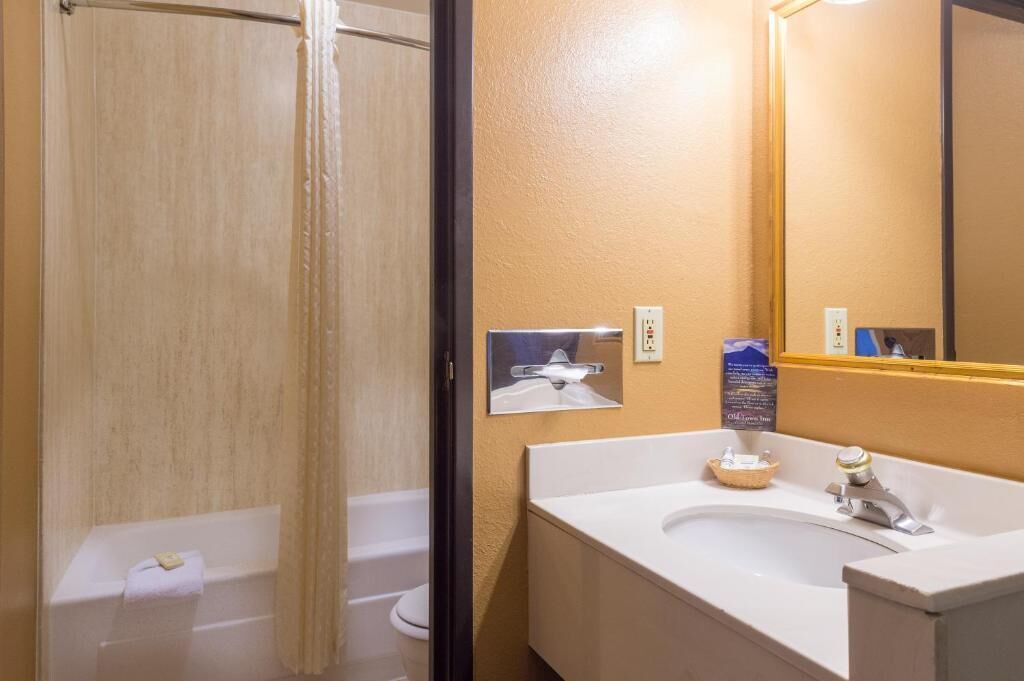 combined shower/bathtub, hair dryer, towels