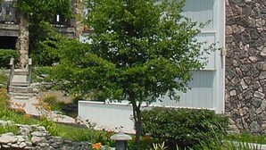 Un edificio de varios pisos con fachada de piedra, un pequeño estanque y un árbol en primer plano.
