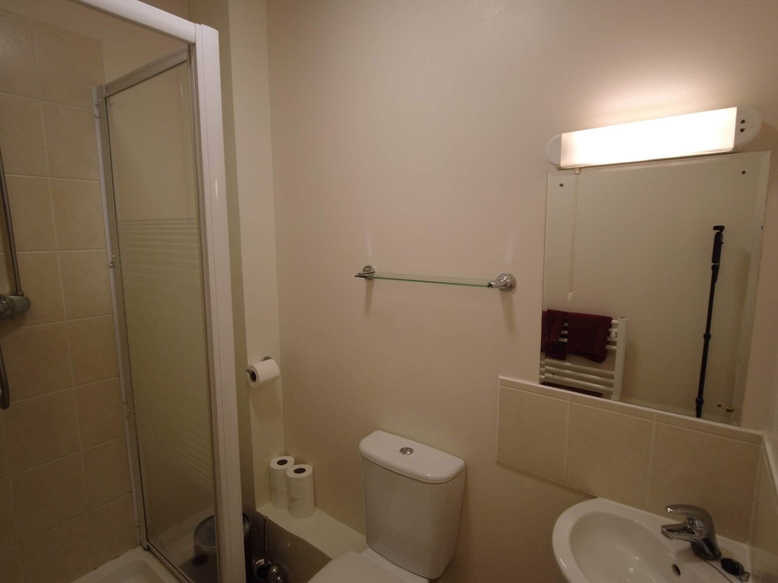 A bathroom with a glass shower enclosure, a toilet, a sink, and a mirror with a light above it.