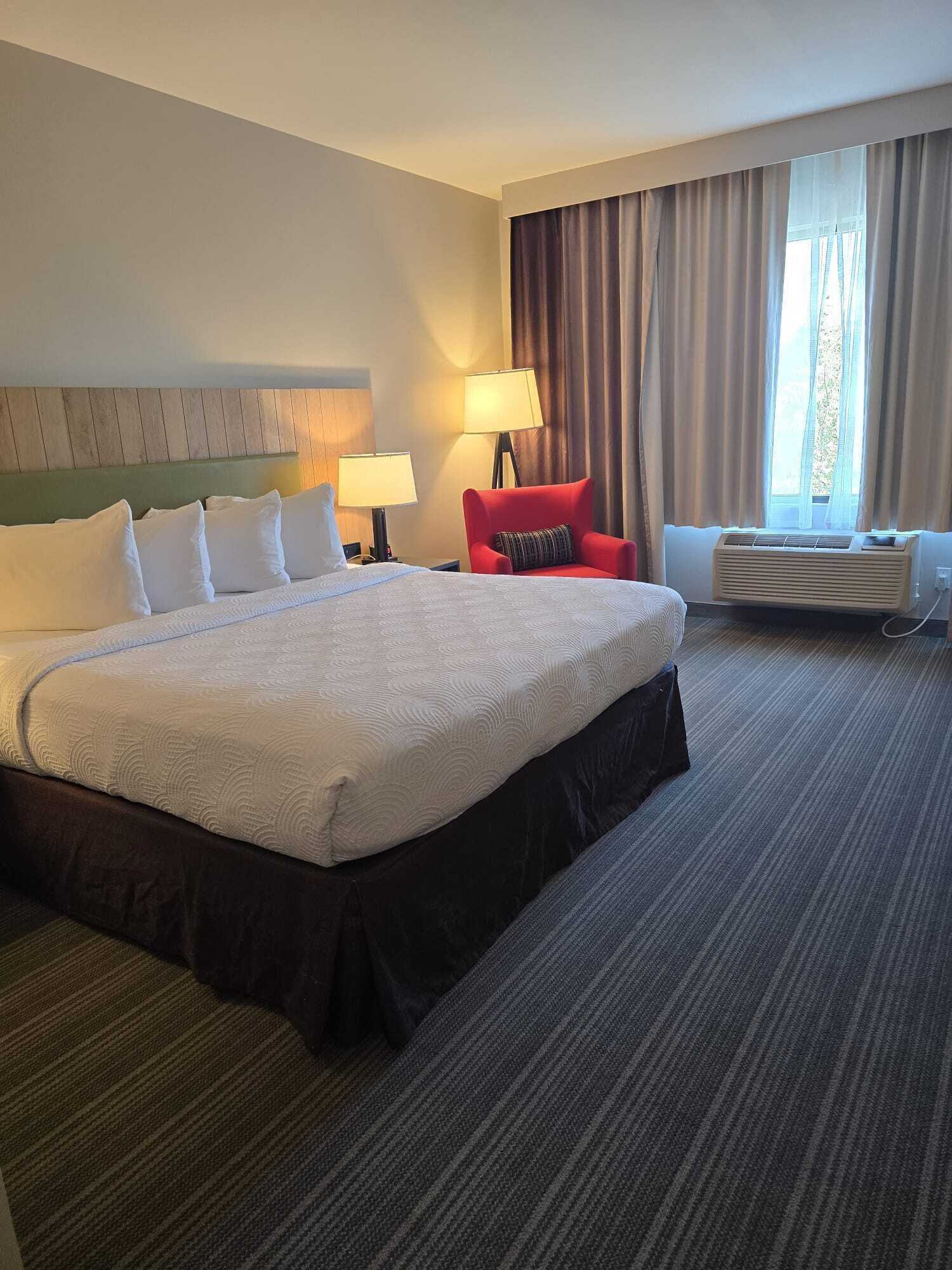 Room, 1 King Bed, Accessible, Non Smoking | Desk, laptop workspace, blackout drapes, iron/ironing board