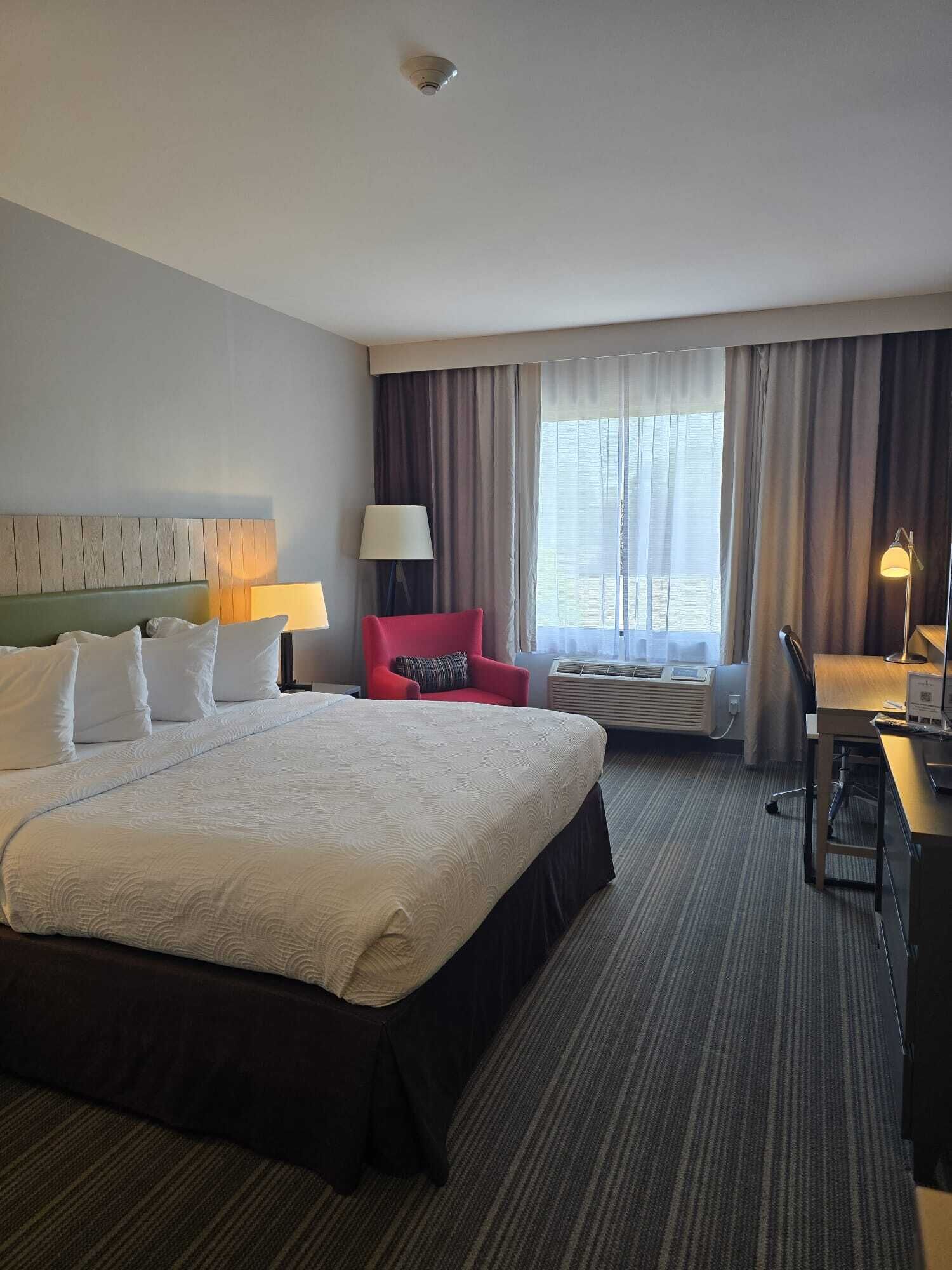 Room, 1 King Bed, Non Smoking | Desk, laptop workspace, blackout drapes, iron/ironing board