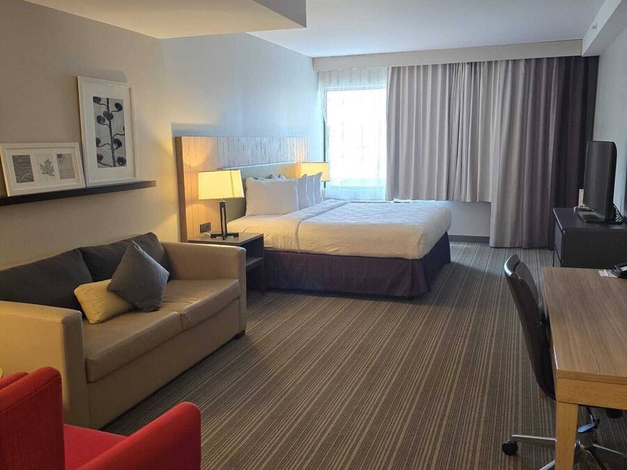 A hotel room with a bed, a desk, a chair, a sofa, and a TV.