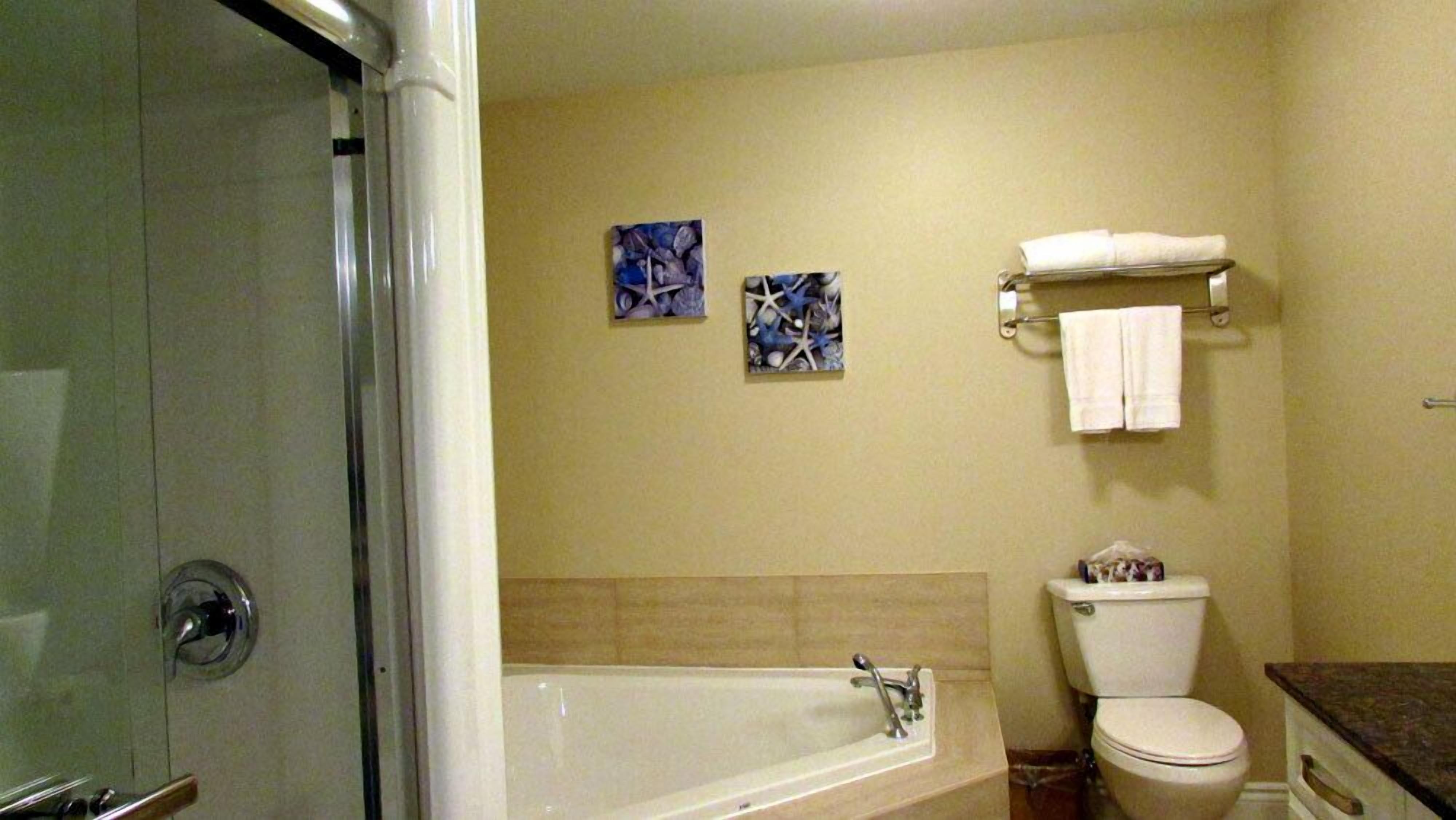 Un baño con bañera, inodoro y dos obras de arte colgadas en la pared.