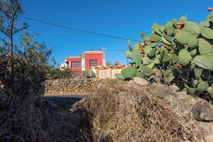 Un edificio rojo con pared de piedra y plantas de cactus en primer plano.