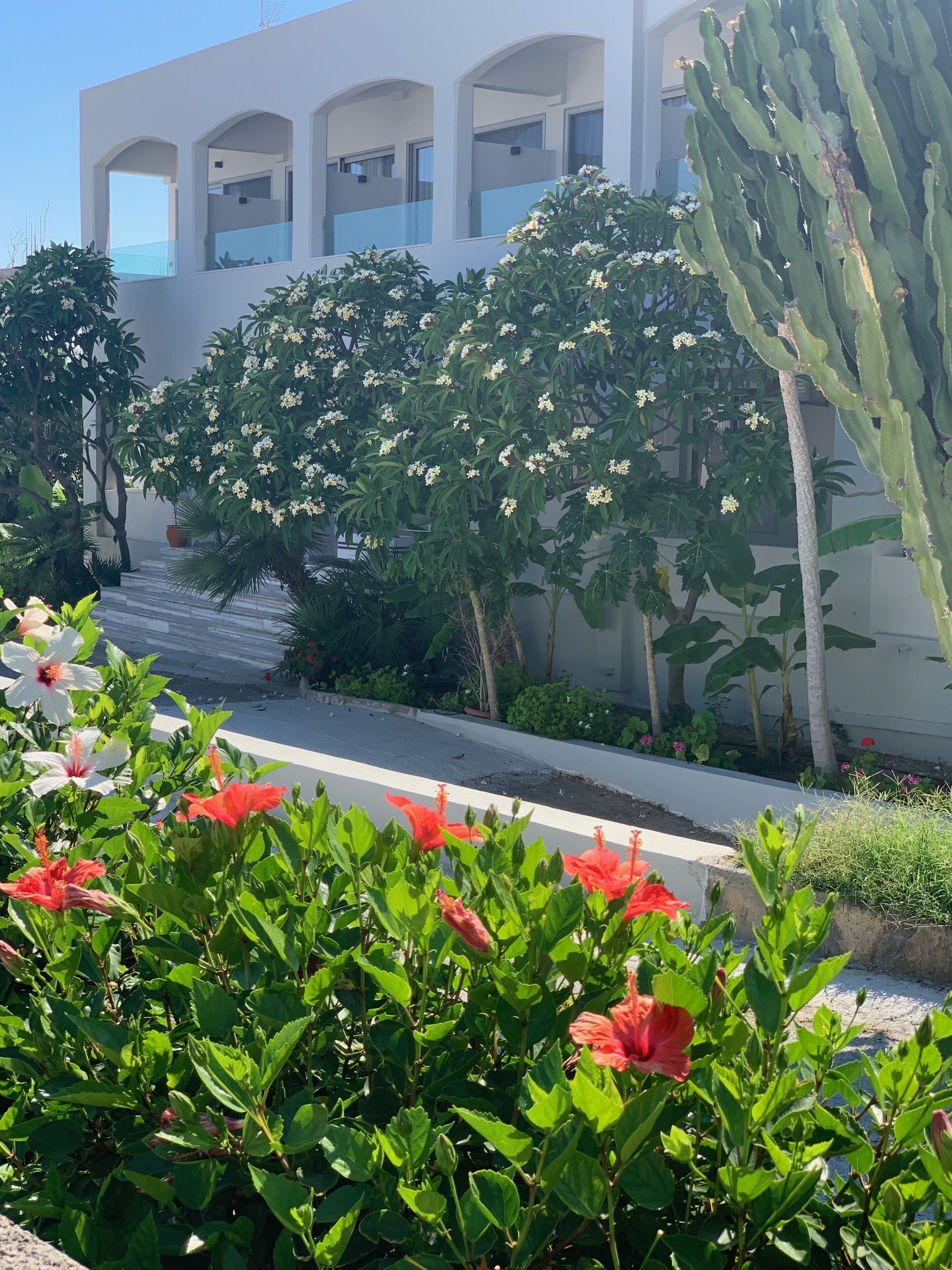 Photo - Pals Studios Pefkos