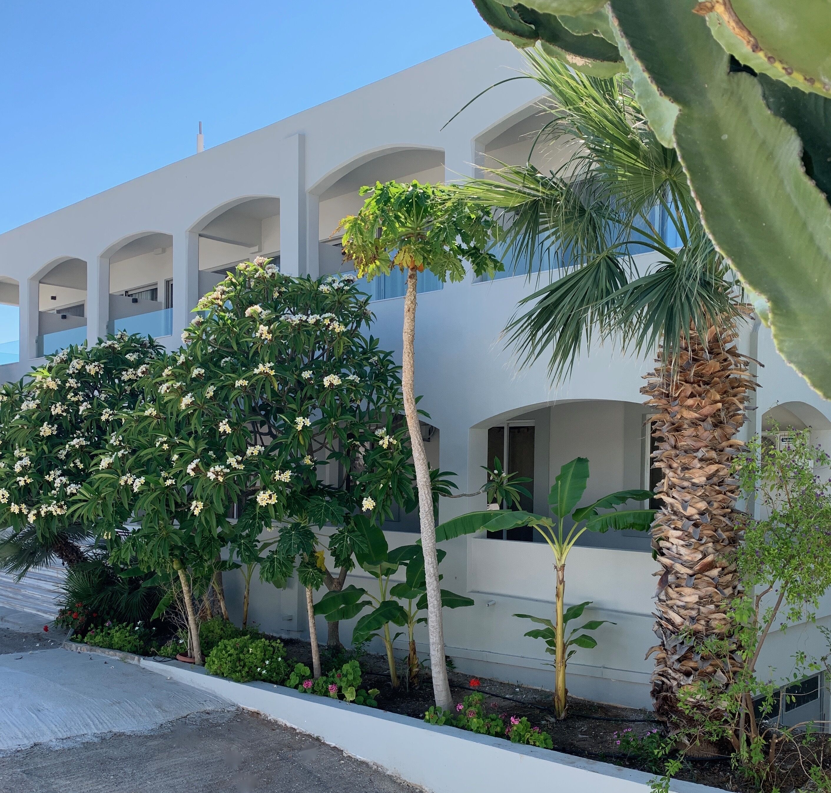 Photo - Pals Studios Pefkos